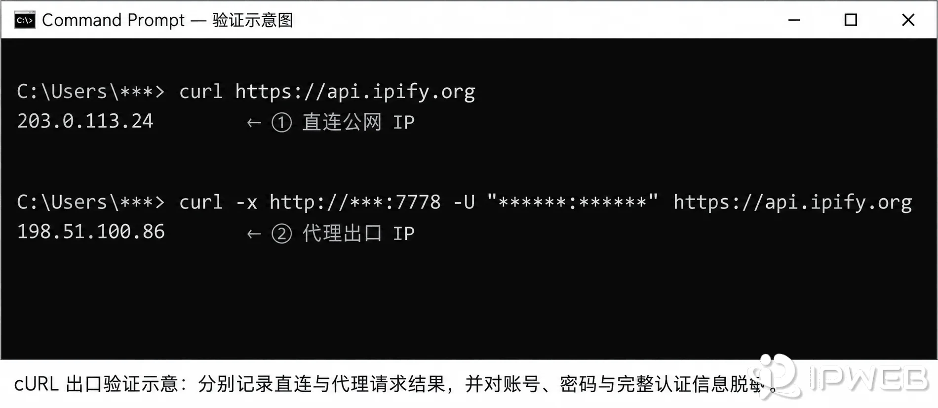 cURL直连与通过代理查询公网出口IP的终端结果对比示意